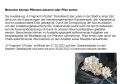 B INFO_0003 -